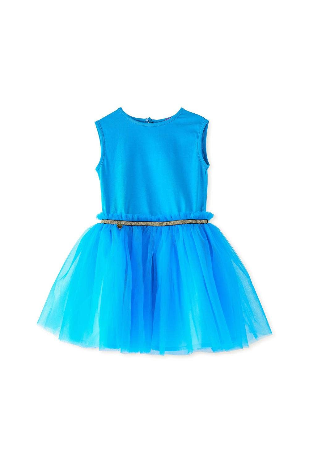 Turquoise Brant Dress Tulle