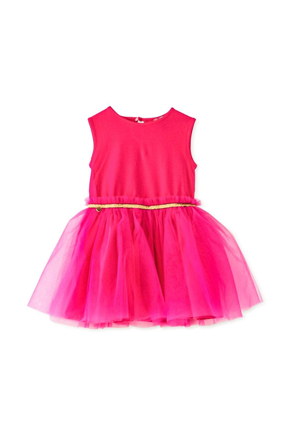 Fuchsia Brant Dress Tulle