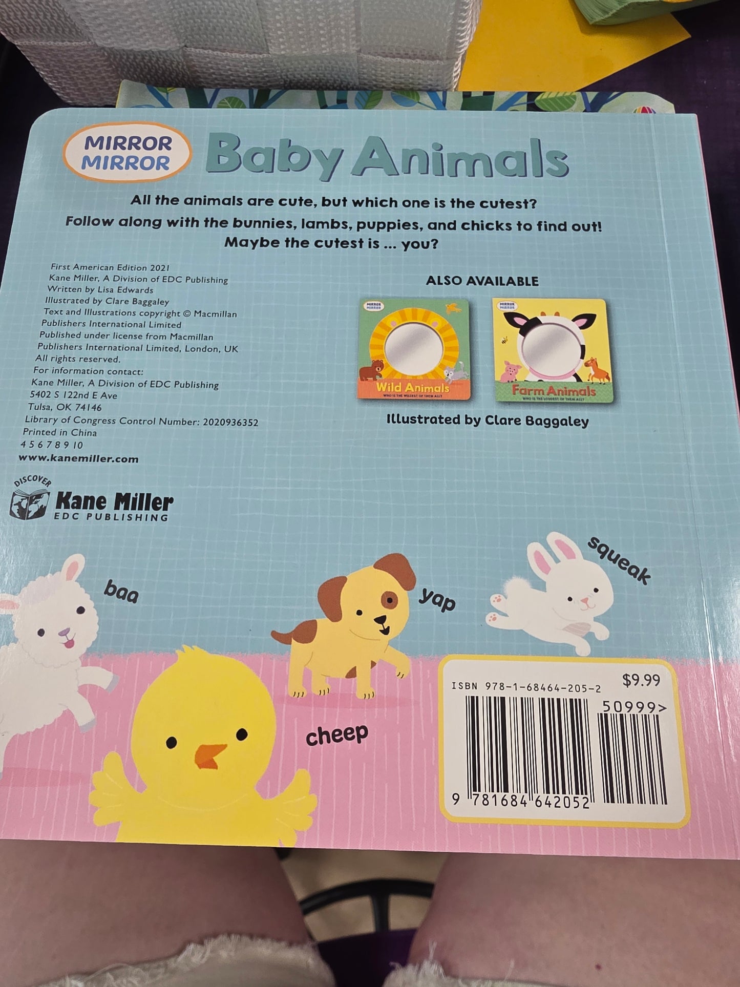 Baby Animals Mirror Book