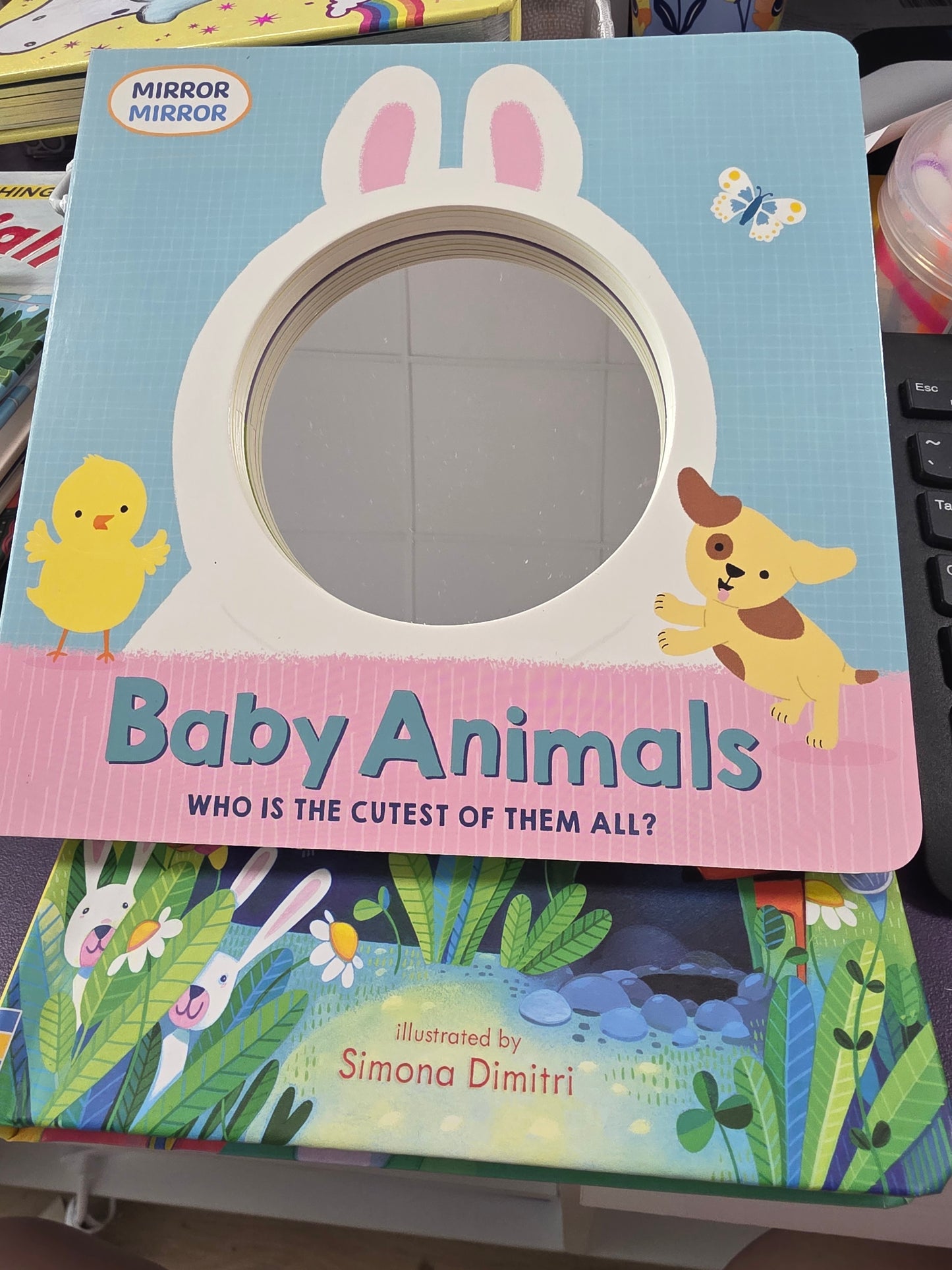 Baby Animals Mirror Book