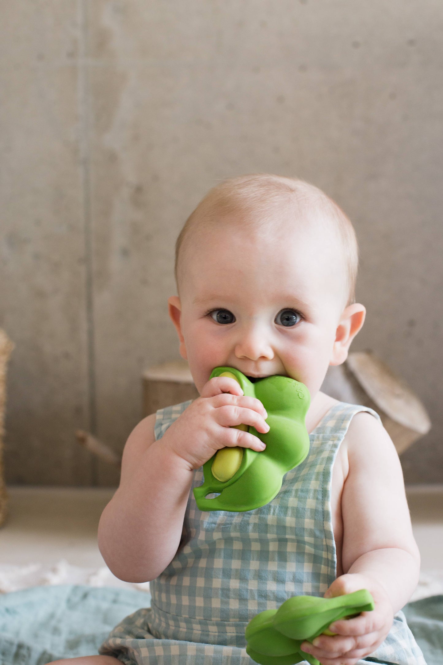 Keiko the Edamame Teether