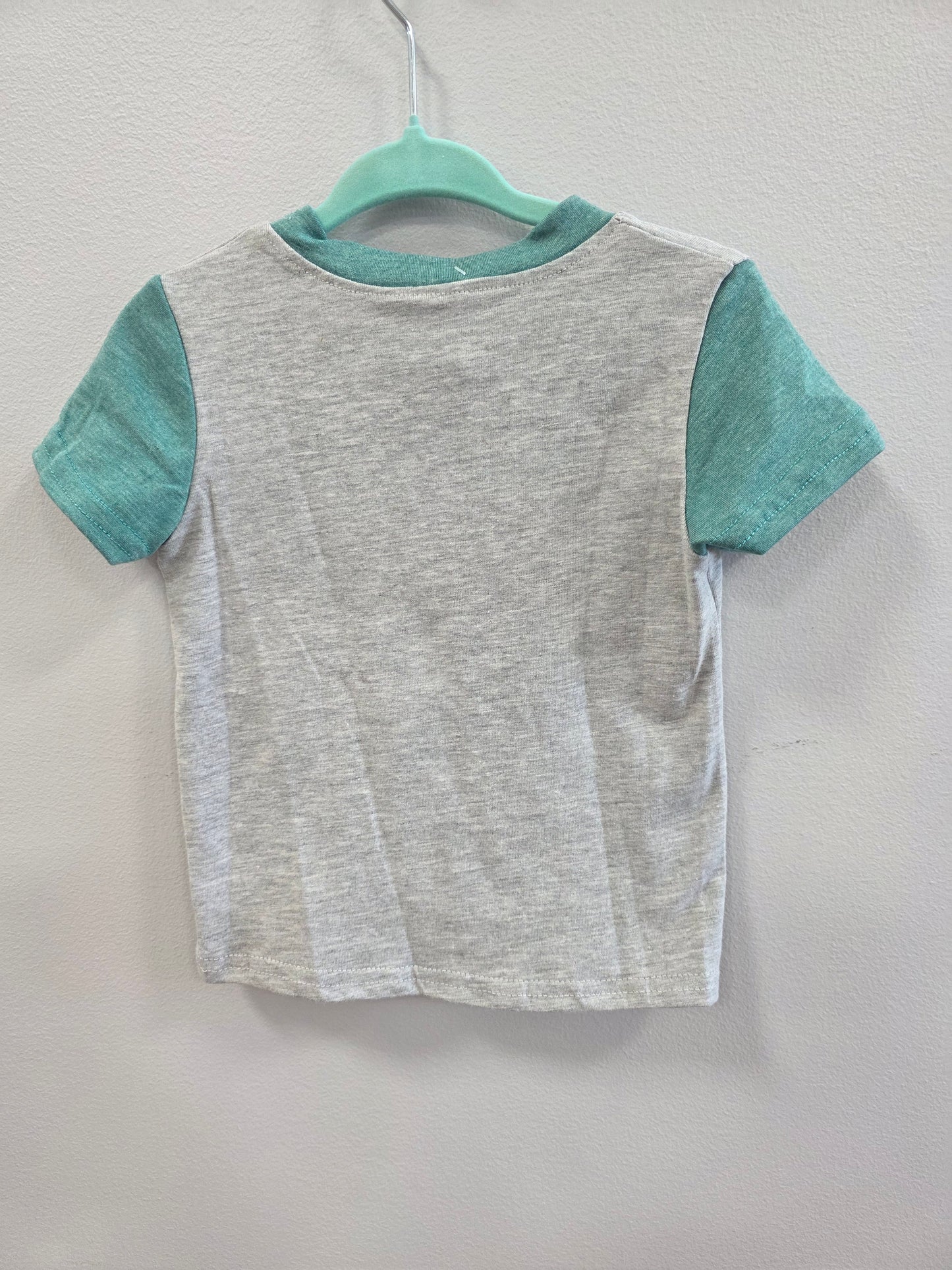 Gray & Green Shirt